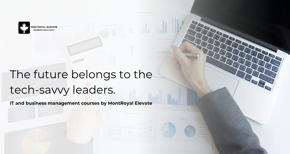 IT and business management courses